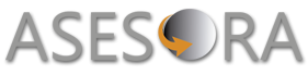 Logo Asesora